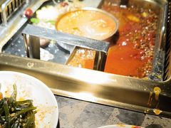 -蜀九鼎毛肚火锅(惠安店)