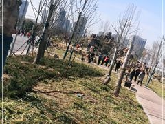 -郑州植物园
