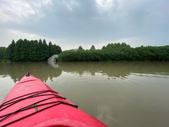 -上海海湾国家森林公园