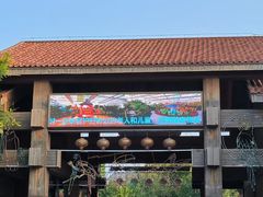 -南宫五洲植物乐园