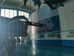 -泉城欧乐堡海洋极地世界