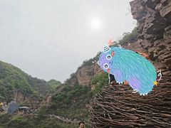 -爱情山风景区