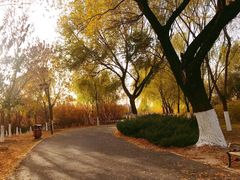 -永定河休闲森林公园