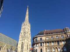 -斯蒂芬主教座堂(Stephansdom)