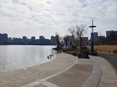 -聚龙湖公园