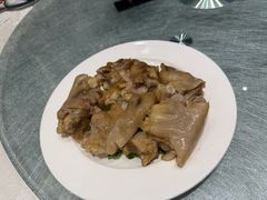 -丁老爷子苏香圆