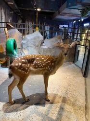 -酷嗒动物文化乐园(cutezoo西溪乐天城店)