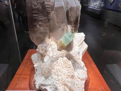 -湖南省地质博物馆