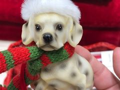 -ZARAHOME(虹桥南丰城店)