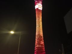 -珠江夜游广州塔·中大码头