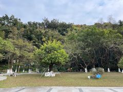 -天鹿湖森林公园