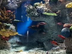 -福州罗源湾海洋世界旅游区