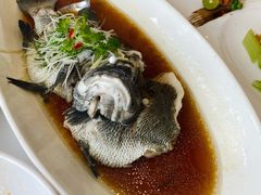 -骏莱海鲜鱼港(五角场店)