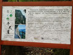 -洛阳白云山景区