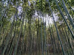 -终南山古楼观历史文化景区