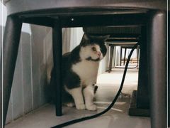 -犇牛记·鲜牛肉火锅