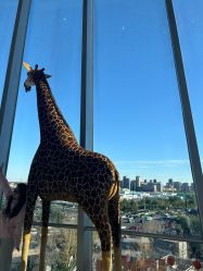 -IMON·HANSA潮玩玩偶毛绒玩具(通州万象汇店)