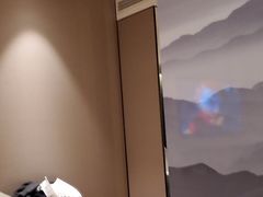 -曙光薇酒店(南京夫子庙老门东店)