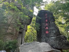 -汤旺河林海奇石景区