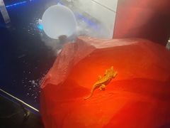 -御足汇汤泉足道SPA(滨湖店)