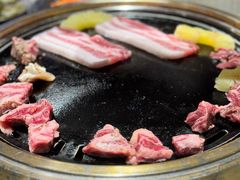 -杨小佳·齐齐哈尔烤肉·烤串(广州店)