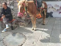 -雁门关景区
