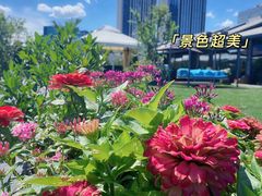 -小河盐帮·私家菜·烤鸭(三元桥·霄云路店)
