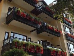 -深圳东部华侨城茵特拉根酒店
