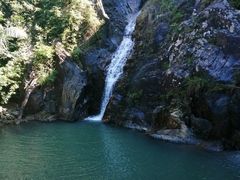 -海南霸王岭国家森林公园