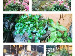 -园林美食城·本土农家菜(杨和镇店)