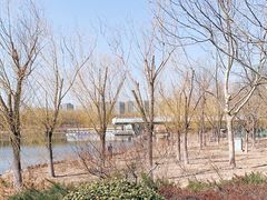 -大兴滨河森林公园