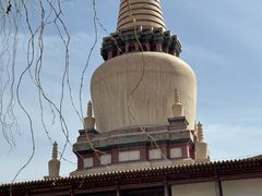 -张掖大佛寺景区