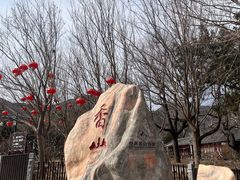 -香山公园