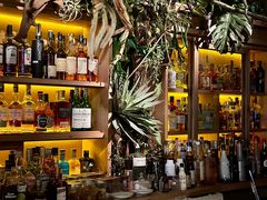 -Bar Infusion(重庆·九街店)