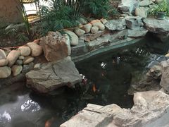 -森谷美食公园(杨行店)