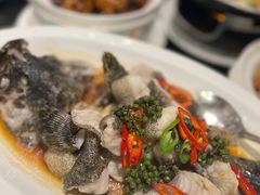 青花椒蒸龙胆鱼-闽和南(深圳万象城店)