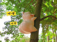 -海珠湖公园
