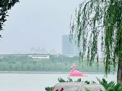 -天津水上公园