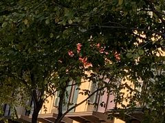 -老杭州面馆(丰盛九玺店)