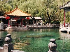 -趵突泉景区