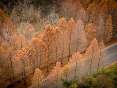 -南京市无想山景区