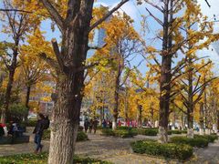 -百林公园-两江幸福广场