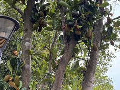 -台山颐和温泉城