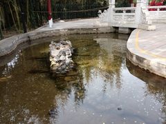 -红螺寺