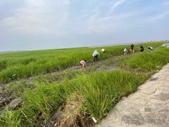 -南汇嘴观海公园