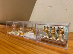 -柴务处·柴犬主题狗咖