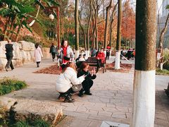 -重庆彩云湖湿地公园