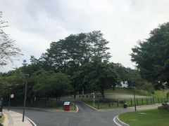 -东莞植物园