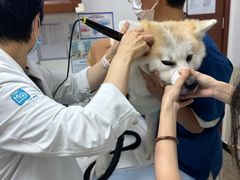 -美联众合动物医院·24h转诊中心