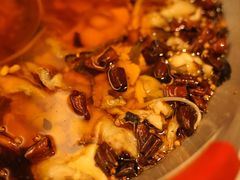 -辣婆婆(航天桥店)